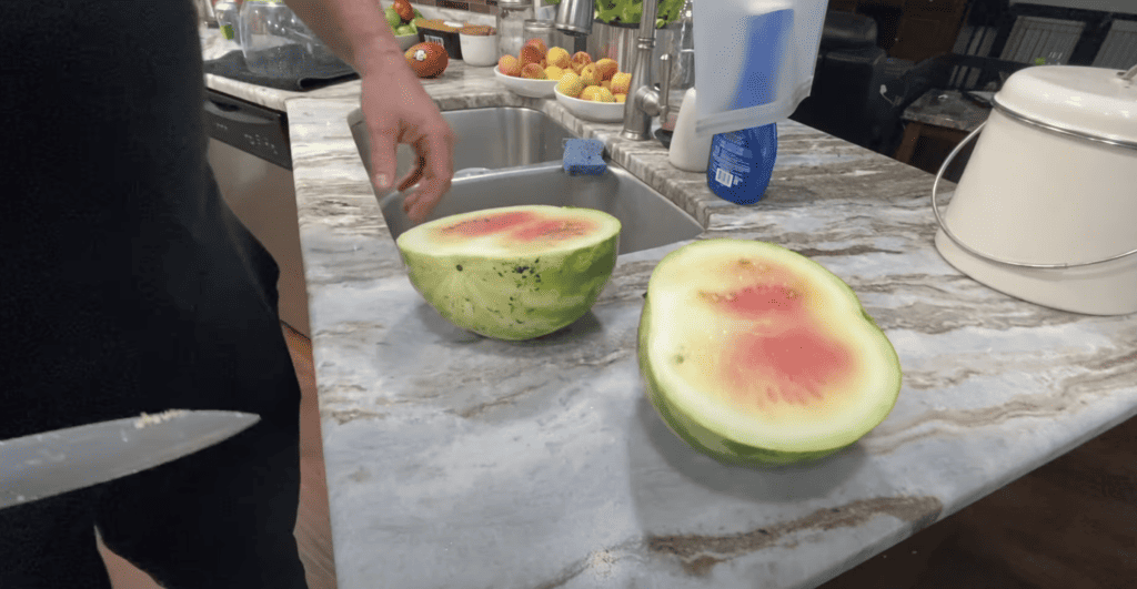 Under ripe watermelon